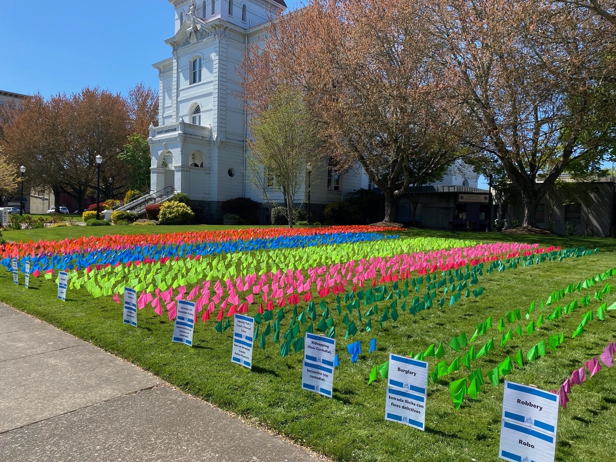 Thousands of ribbons of pink, blue, lime green, yellow, and dark green adorn the courthouse lawn in year in front of the white Benton County Courthouse, in honor of crime victims' rights.